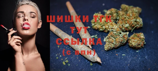 прущая мука Вяземский