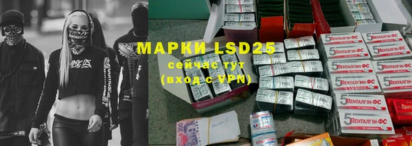ГАЛЛЮЦИНОГЕННЫЕ ГРИБЫ Белоозёрский
