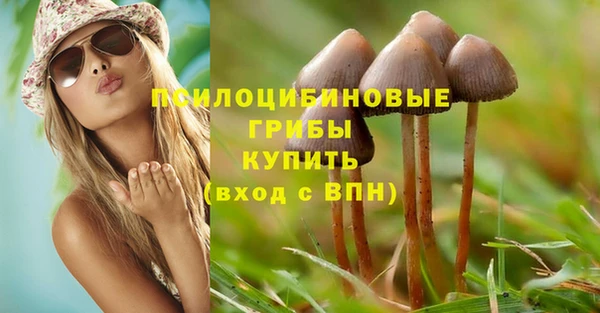 ГАЛЛЮЦИНОГЕННЫЕ ГРИБЫ Белоозёрский