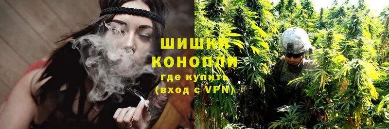 Конопля OG Kush  Ермолино 